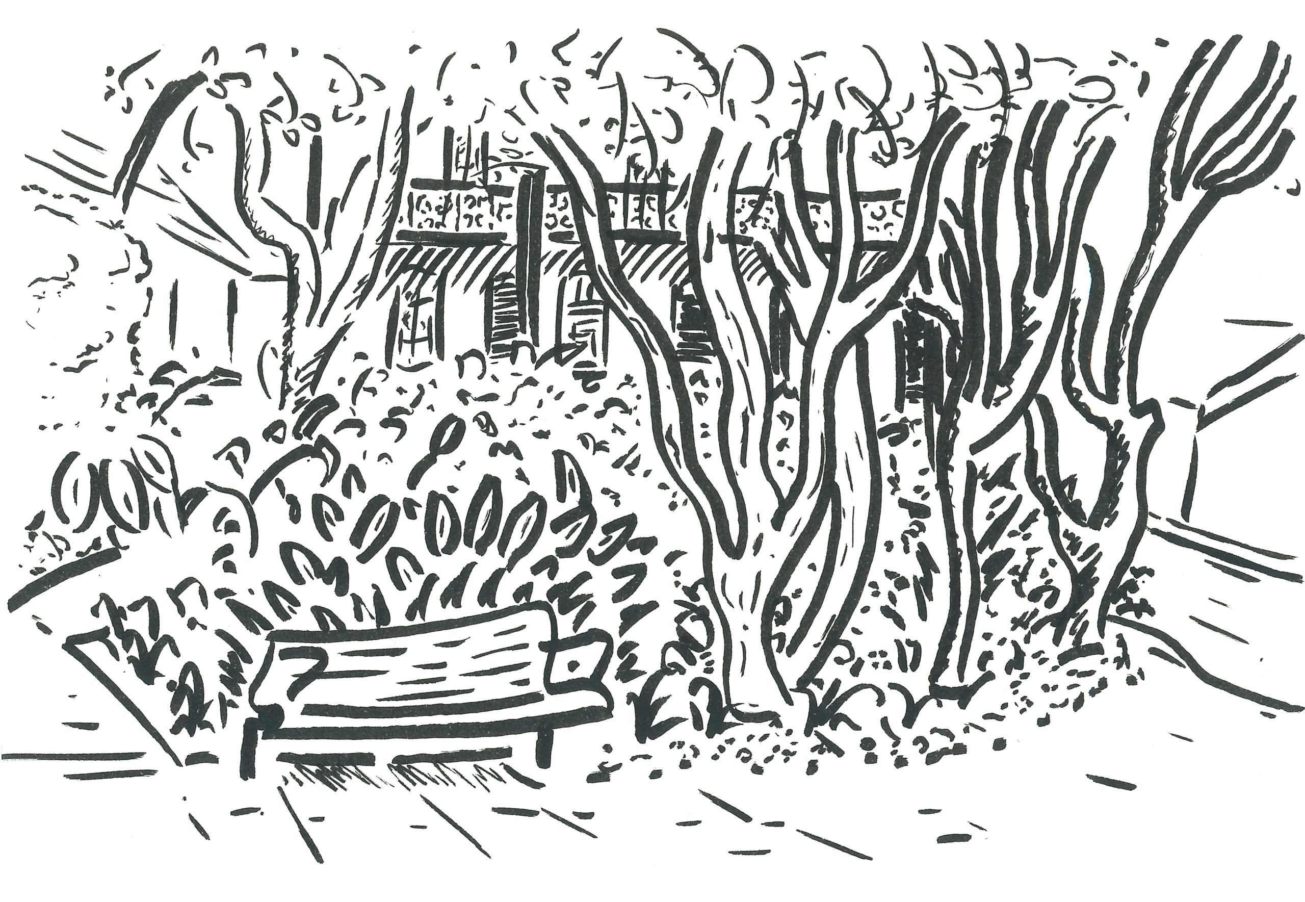 Rochford Street Reserve
